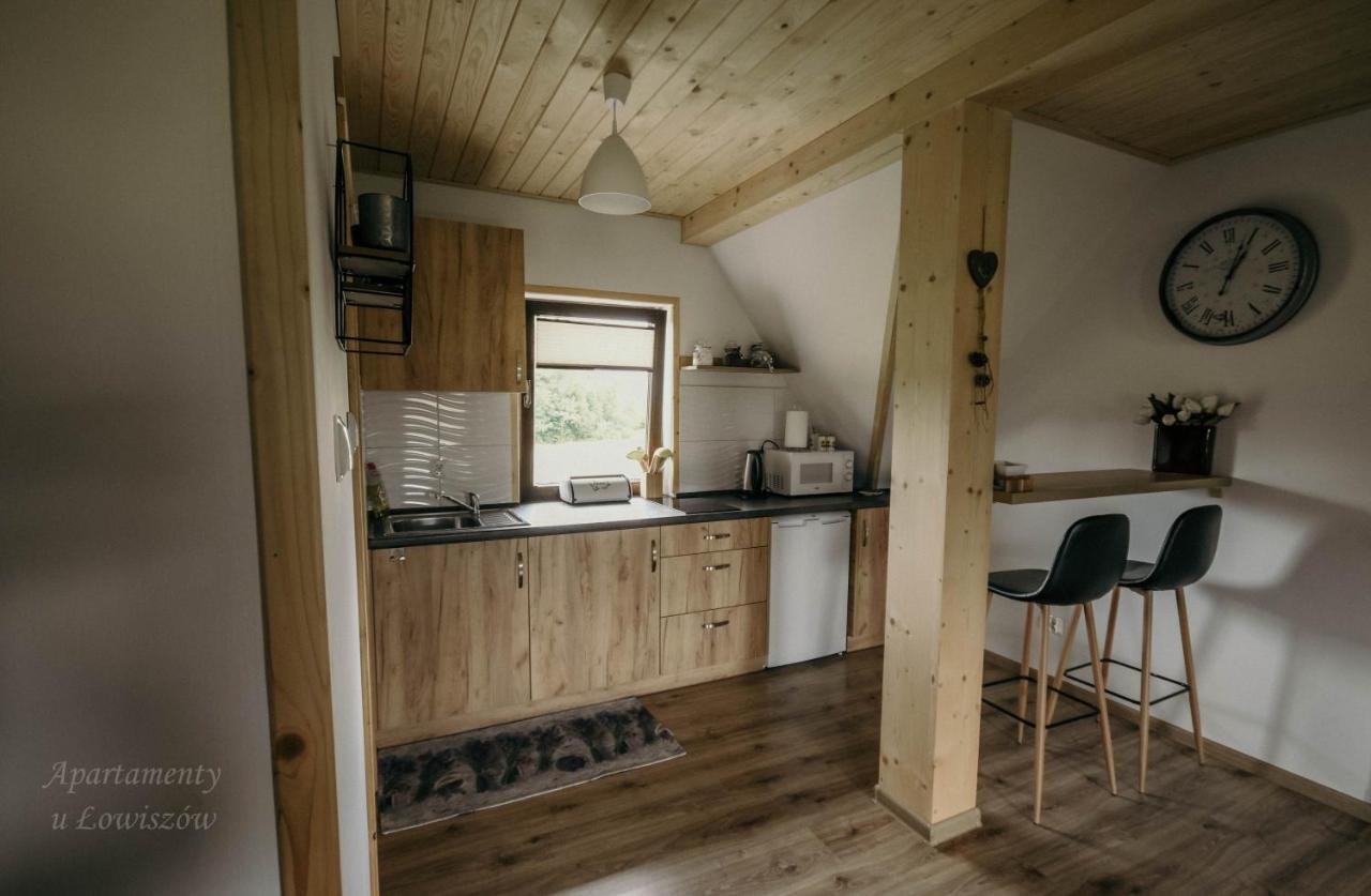Apartament U Lowiszow Witow  Bagian luar foto